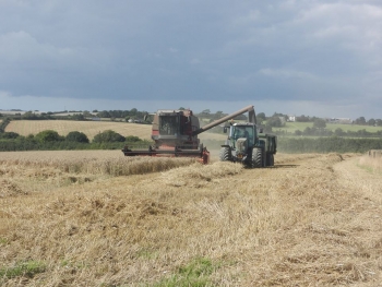 Photo Gallery Image - Wheat harvest